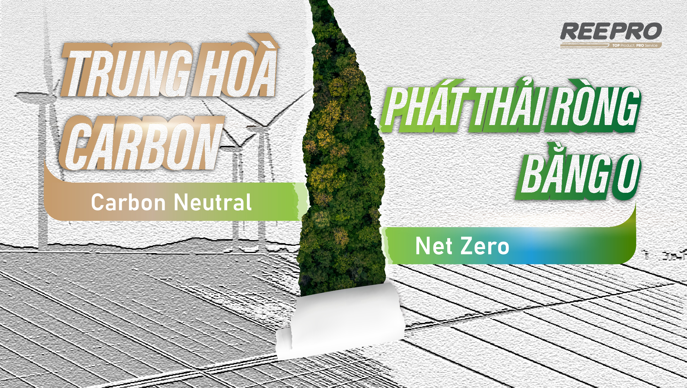 So sánh khác biệt giữa netzero và trung hòa carbon